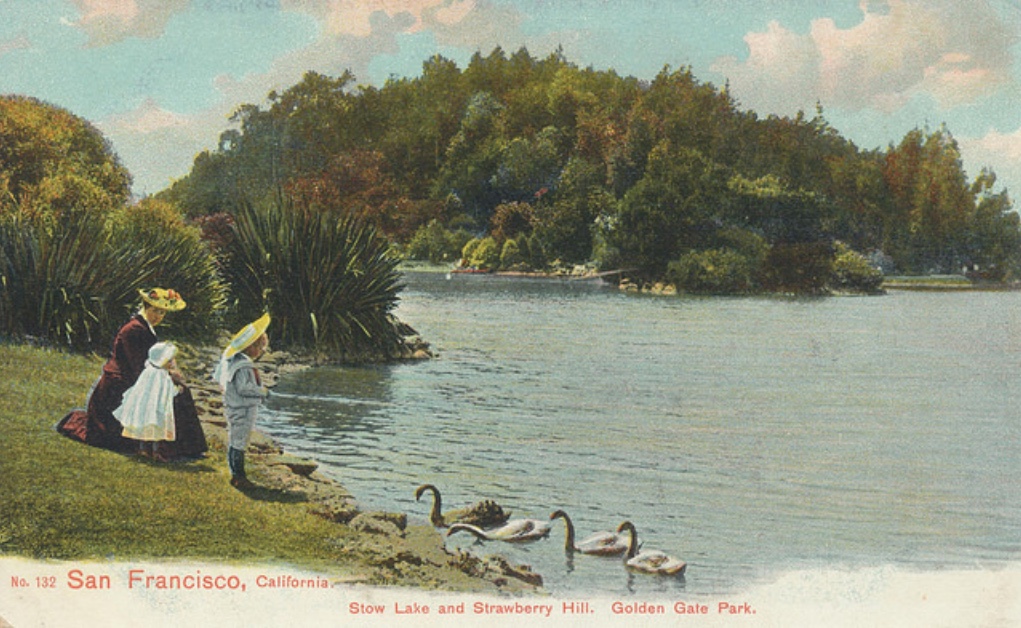 people sitting along the bank feeding geese.